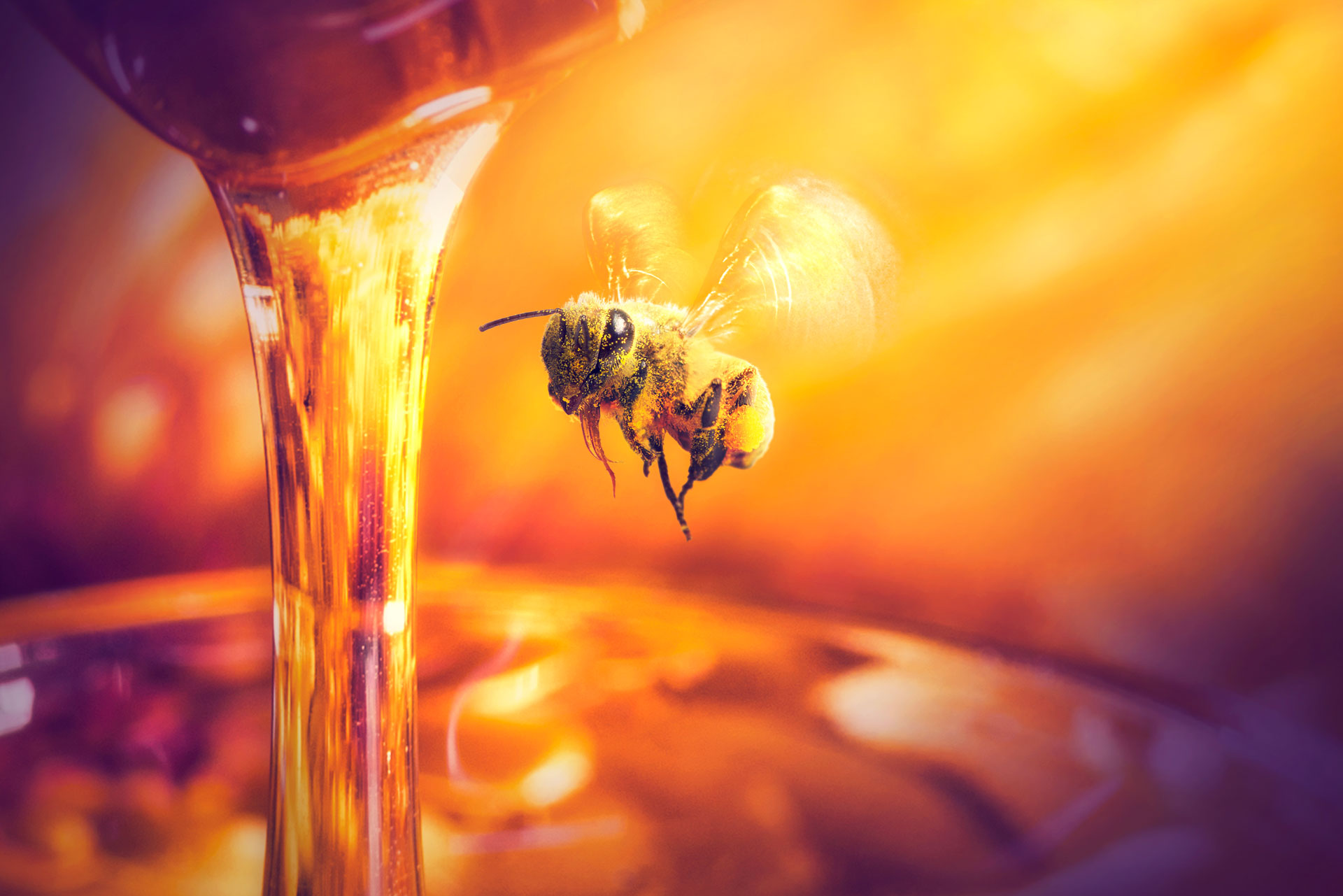 étiquette apiculture miel