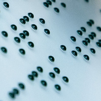 Vernis braille